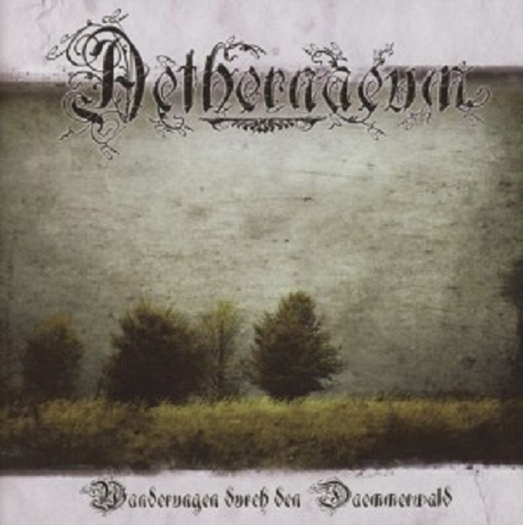 Aethernaeum-Wanderungen Durch Den Dämmerwald