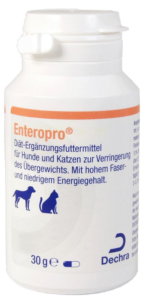 60 cápsulas entéricas para perros y gatos Imagen del producto 