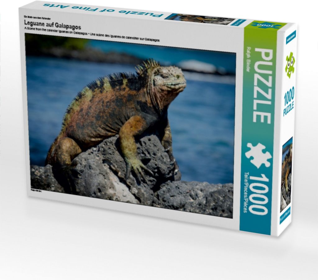 Calvendo Ein Motiv aus dem Kalender Leguane auf Galapagos Produktbild 