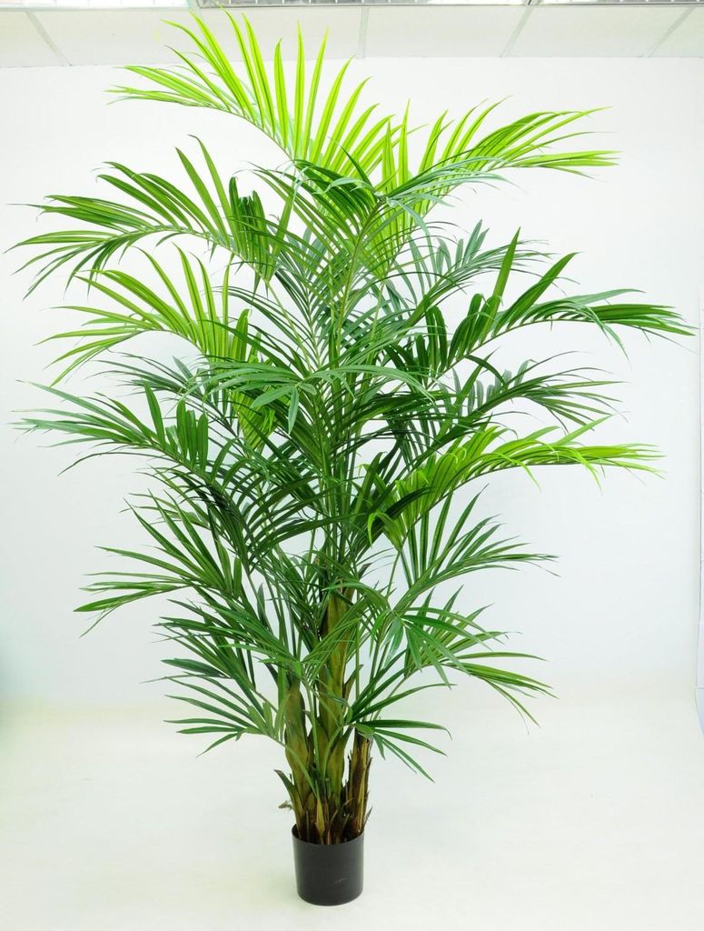 artplants.de Künstliche Kentiapalme Paige, 270cm - Kunstpalme Kentia