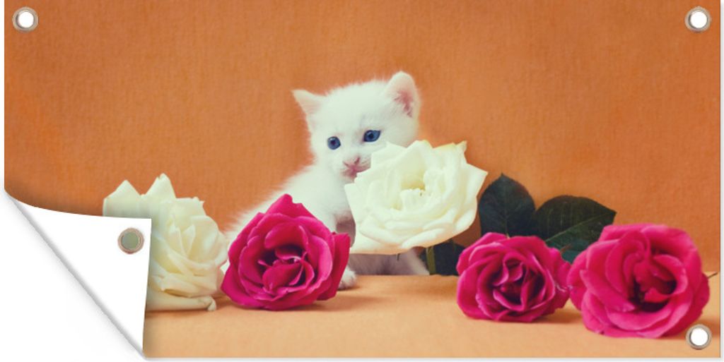 MuchoWow 80x40 cm Outdoor-Poster Gartendeko Sichtschutz Garten Poster für den Garten Katze - Rosen - Blumen