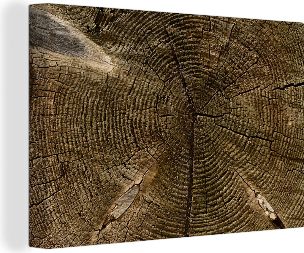 OneMillionCanvasses - Leinwandbilder - 150x100 cm, Ein Querschnitt eines Baumstamms mit deutlichen Jahresringen, Wandbilder Kunstdruck Wanddekora...