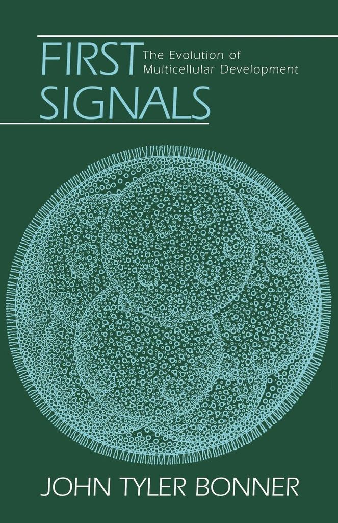 First Signals