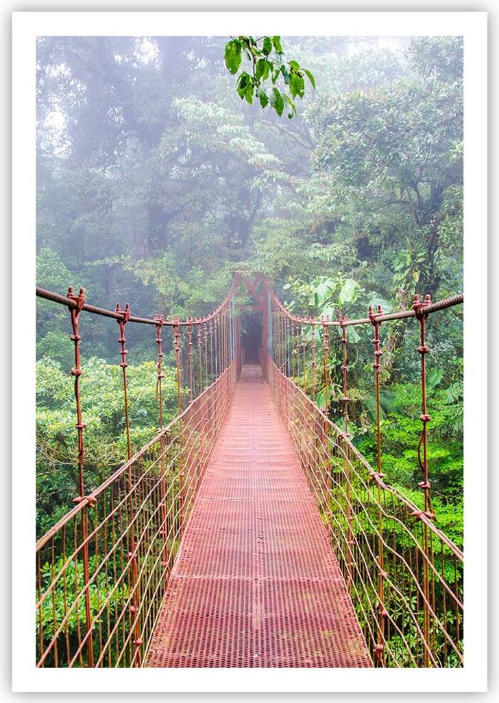Poster - Poster ohne Rahmen - Brücke ausgesetzt Costa Rica - 70x100 cm - Wand Bild - Wanddeko - Wandbilder - Kunstposter - Wandposter - Bilder - K...