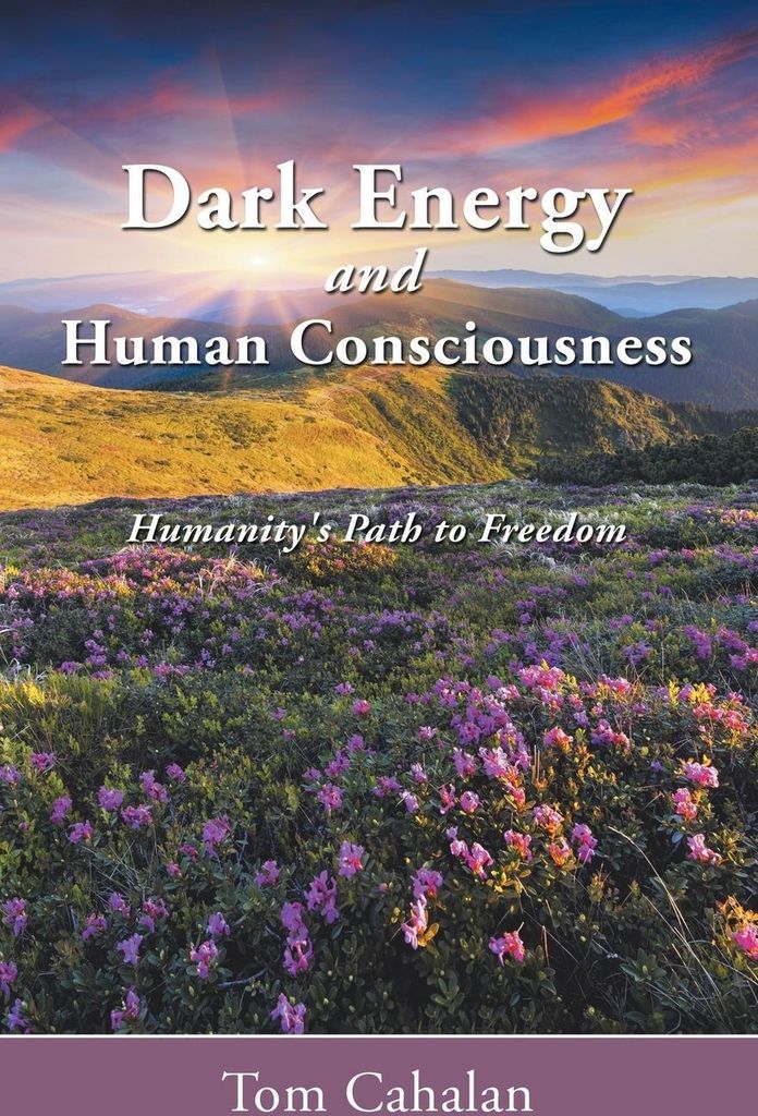 Dark Energy and Human Consciousness