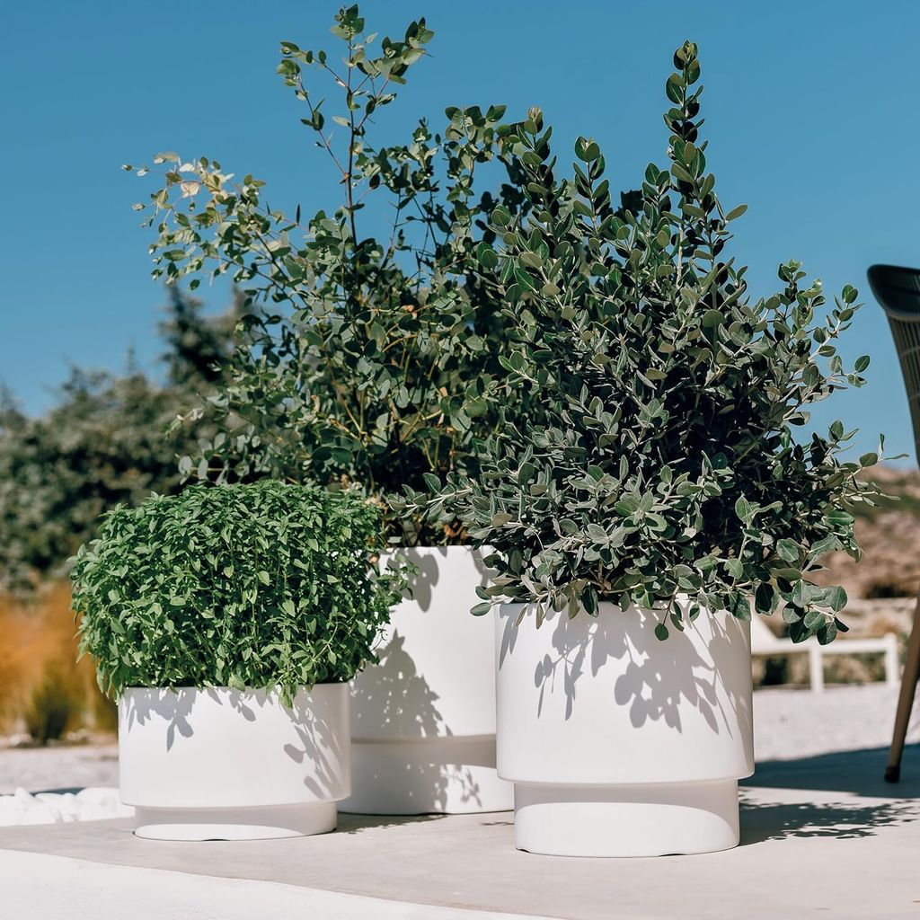 Sleek Planter with Smooth Surface and Elevated Tapered Base Produktbild 3