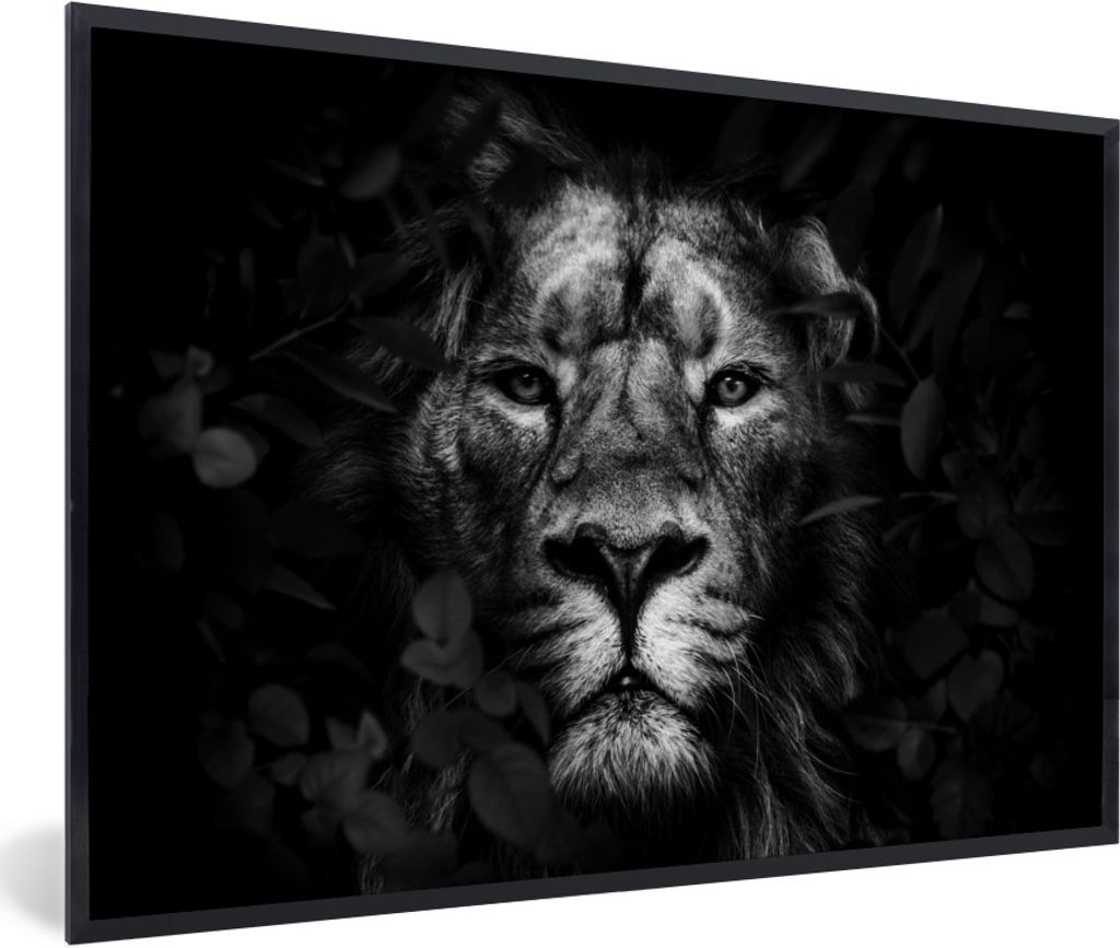 MuchoWow Gerahmtes Poster Löwe zwischen den Blättern im Dschungel - schwarz und weiß 60x40 cm - Poster mit Schwarzem Bilderrahmen Wandposter R...