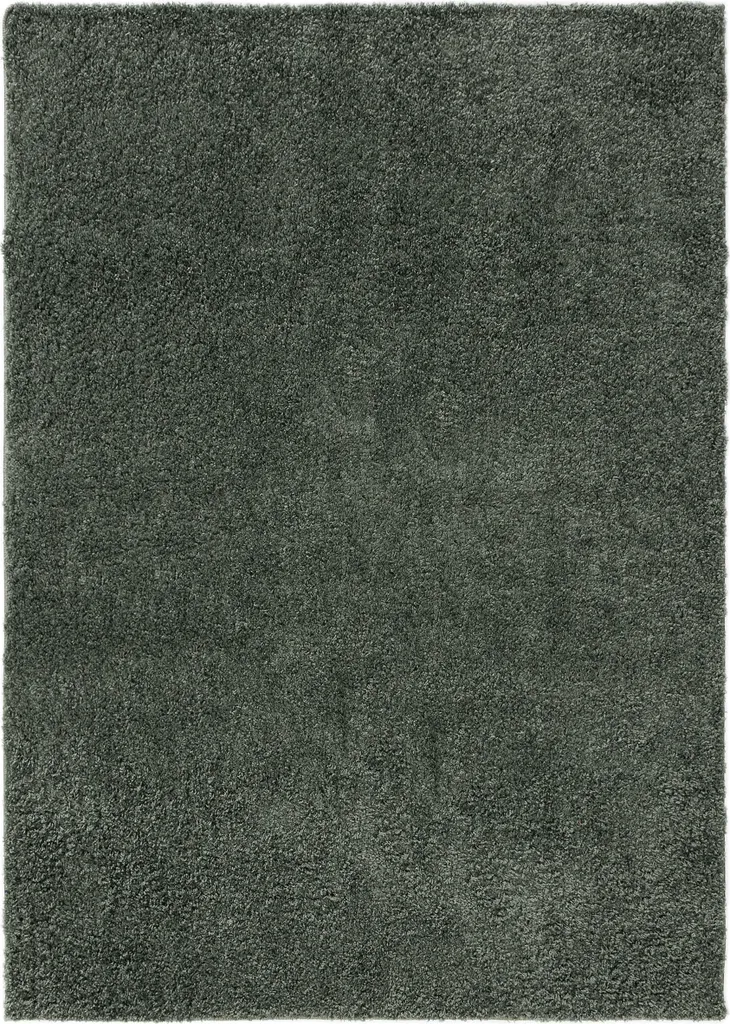 Interiyou Tapis Sofia à poils longs vert clair - Moelleux 200x250 cm