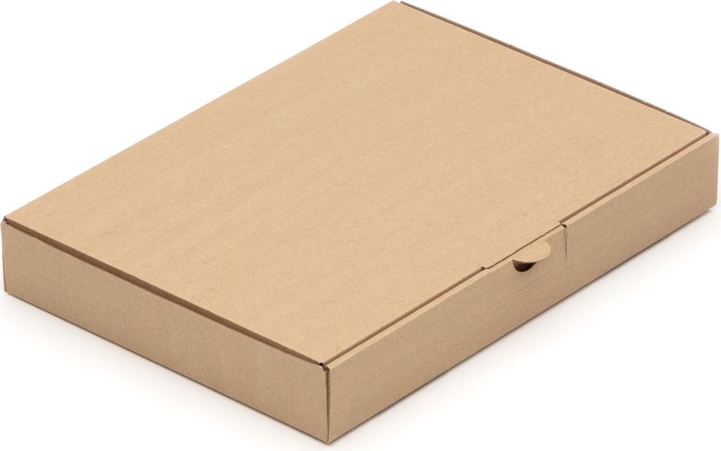 800 Warensendungen 305 x 220 x 44 Maxibriefkarton Post Maxibrief Karton BRAUN