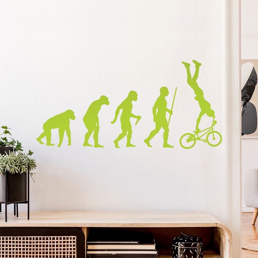 BMX Freestyle Evolution Wandtattoo Wandaufkleber Wall Sticker - Dekoration, Küche, Wohnzimmer, Schlafzimmer, Badezimmer