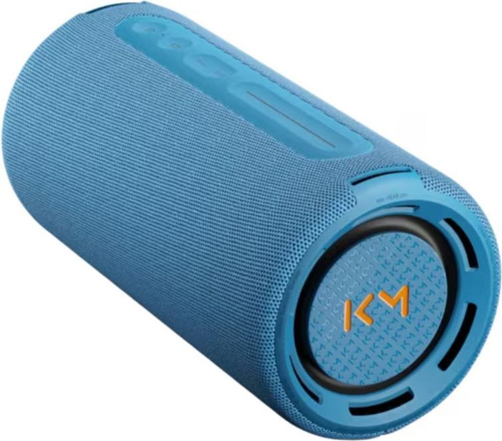 Głośnik przenośny LOEWE WE HEAR Pro, 50 W, Bluetooth, Zdjęcie produktu 