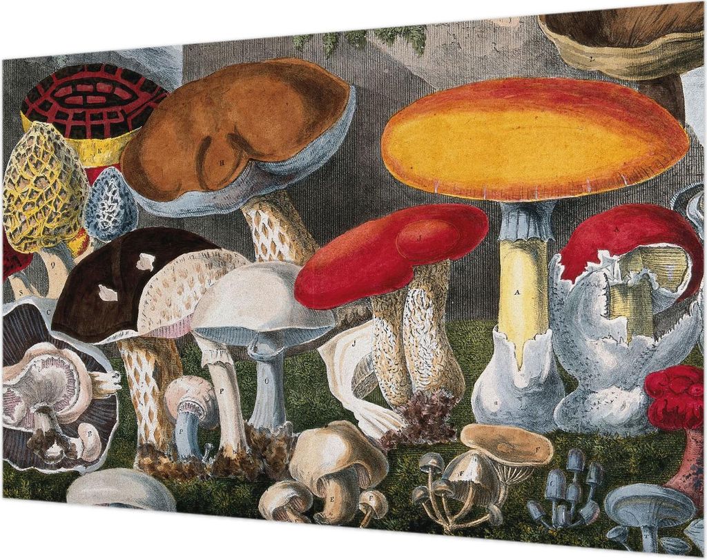 Wandtapete - Dekorative Tapete für Wohnzimmer- Tapetenfolie für Wanddekoration - 104x70 cm - Botanische Pilze