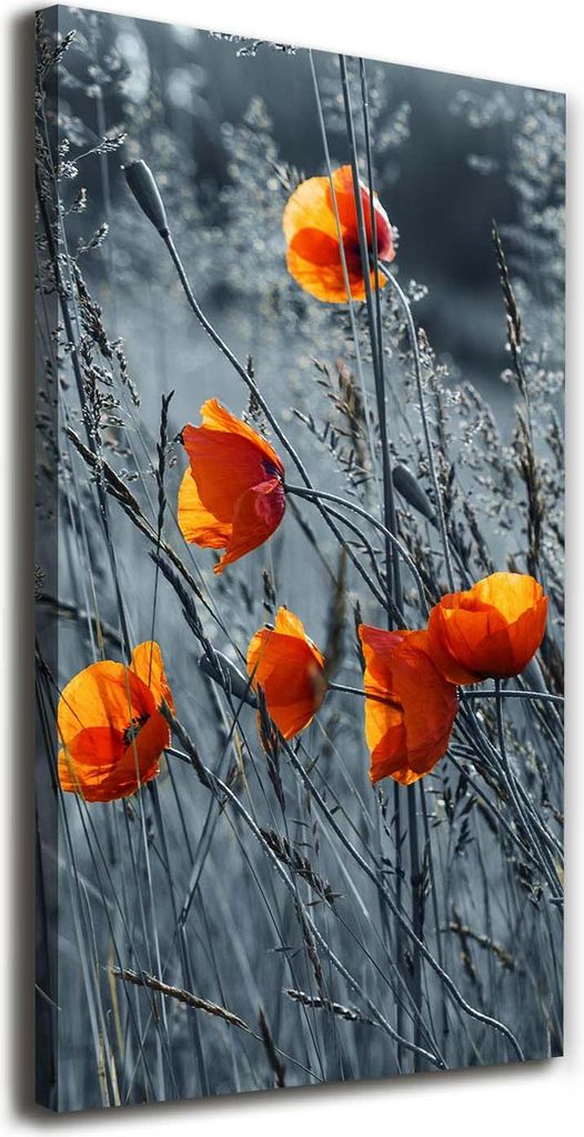 Tulup Leinwandbild - 70x140cm - Wandkunst - Drucke auf Leinwand - Leinwanddruck - Wohnzimmer Wanddekoration XXL - Wohnung Deko Kunstdrucke - Blum...