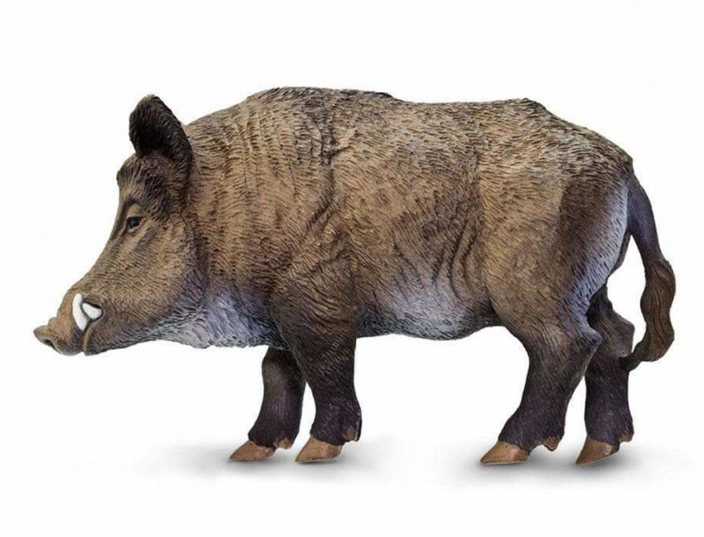 Safari wildtiere Wildschwein junior 9 cm braun Produktbild 