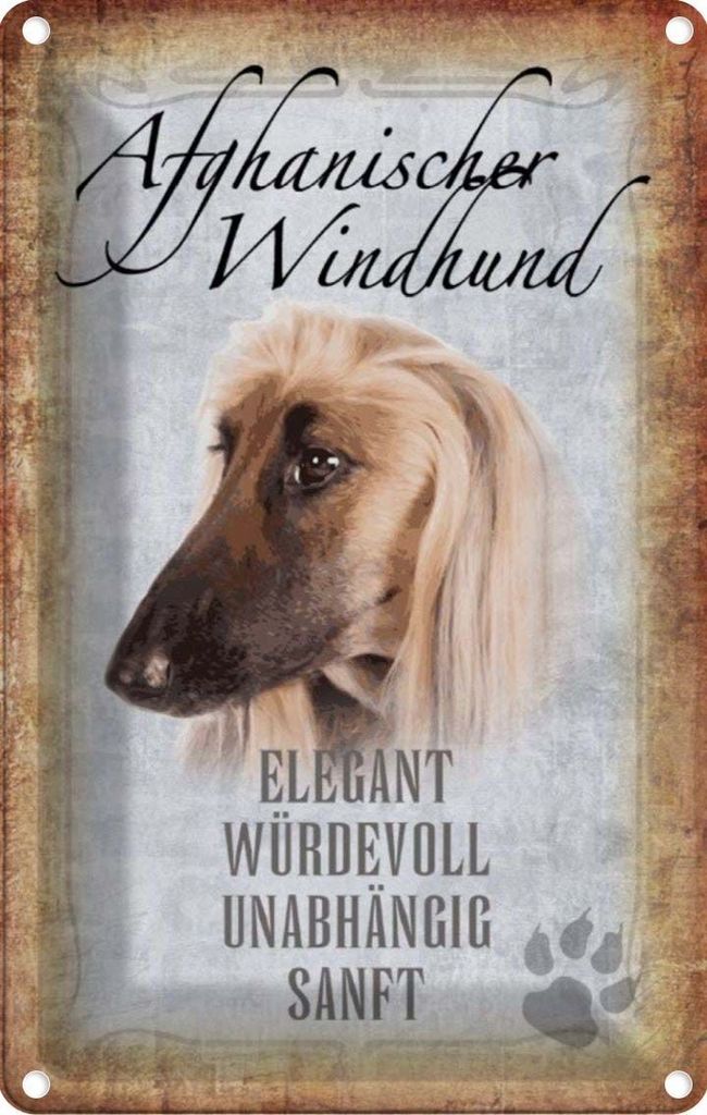 vianmo Blechschild 30x20 cm Afghanischer Windhund Hund Tier Haustier