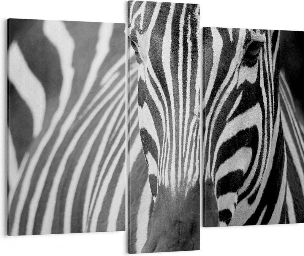 Bild auf Leinwand - Leinwandbild - Tiere Zebra gestreift - 95x80cm - Wand Bild - Wanddeko - Leinwanddruck - Bilder - Kunstdruck - Wanddekoration - ...