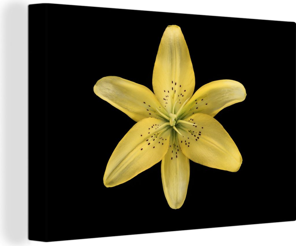 OneMillionCanvasses - Leinwandbilder - 140x90 cm, Lilie - Blume - Gelb, Wandbilder Kunstdruck Wanddekoration