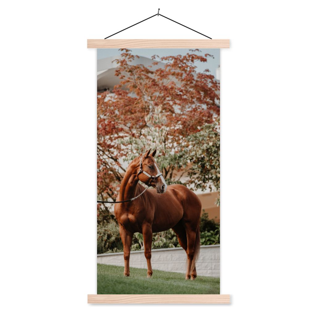 MuchoWow Textilposter Pferd - Baum - Halfter 40x80 cm mit holzfarbenen Rahmen - Wohnzimmer
