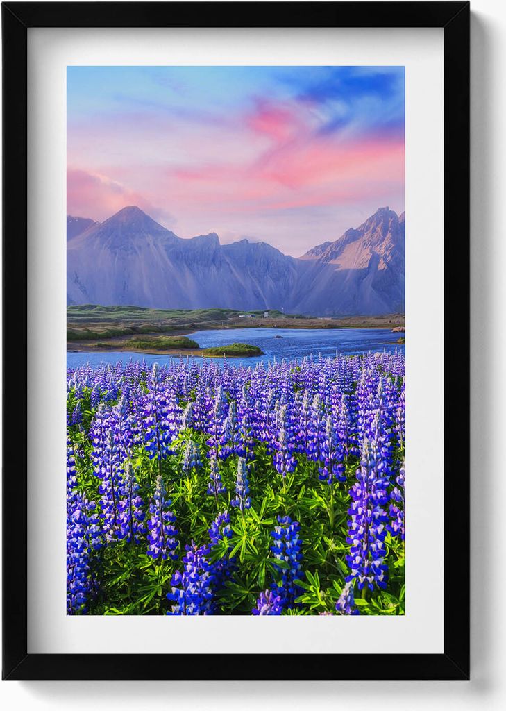 Lavendelfelder - Island– Wandbild mit Rahmen – Gerahmtes Bild – Wanddekoration – 40x60 cm – Schwarz