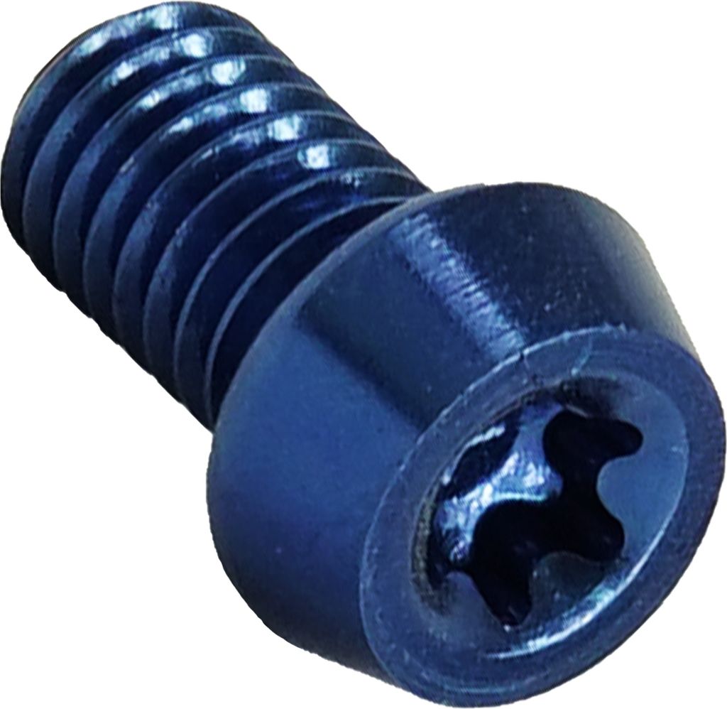 Aluschraube M6x10 Torx T25 blau