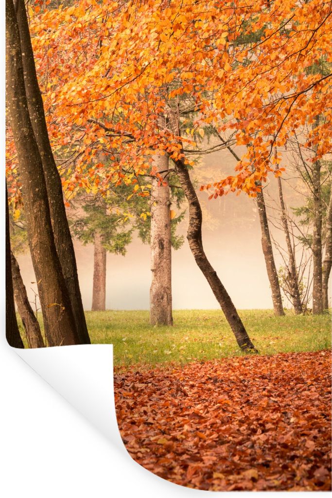 MuchoWow Wandtattoo Wandsticker Wandaufkleber Blätter - Herbst - Wald 80x120 cm Selbstklebend und Repositionierbar - Repositionierbar - Wasser a...