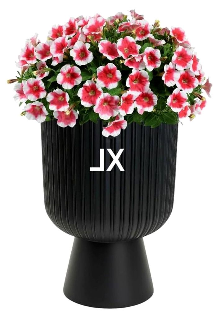 Blumenkübel Blumentopf mit Herausnehmbaren Einsatz Rund Dekorativ Größe XL: 29x43 cm (Anthrazit)