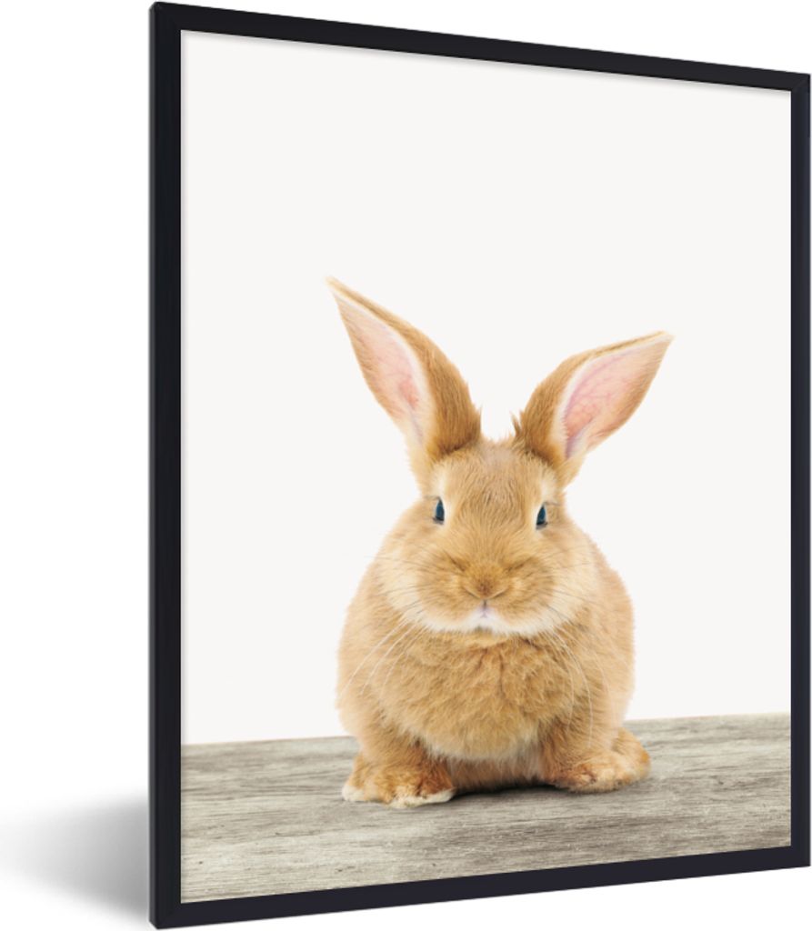MuchoWow Gerahmtes Poster Kaninchen - Babykaninchen - Tiere - Kinder - Mädchen - Jungen 30x40 cm - Poster mit Schwarzem Bilderrahmen Wandposter ...