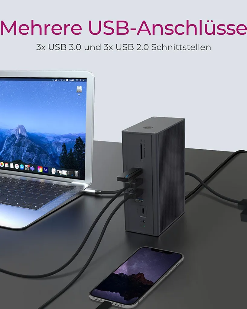 Station accueil pour ordinateur portable RaidSonic double écran 4K - 20