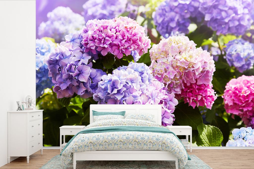 MuchoWow Fototapete für Wohnzimmer oder Schlafzimmer Wandtapete Vinyl Motivtapete Blumen - Hortensie - Rosa - Blätter - Sonne - 600x400 cm - Vi...