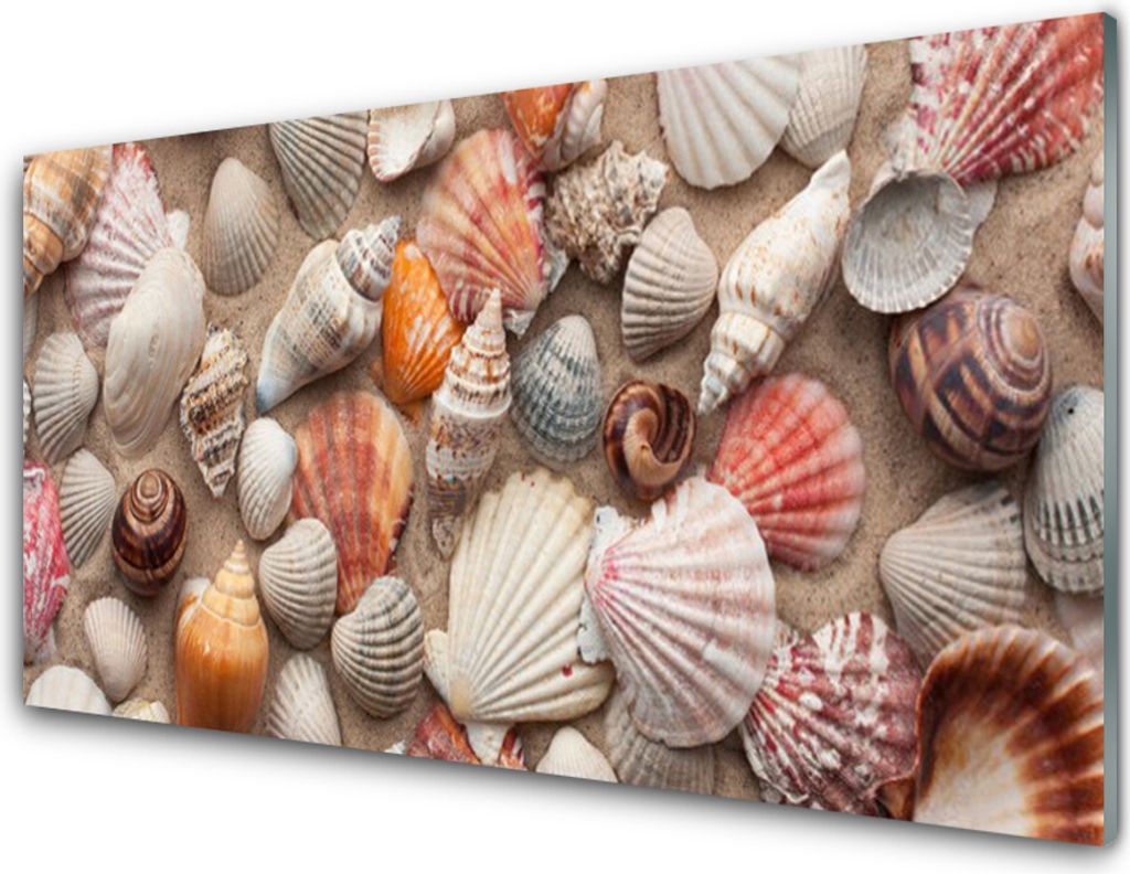 Küchenrückwand aus Glas 100x50cm Spritzschutz Muscheln Kunst