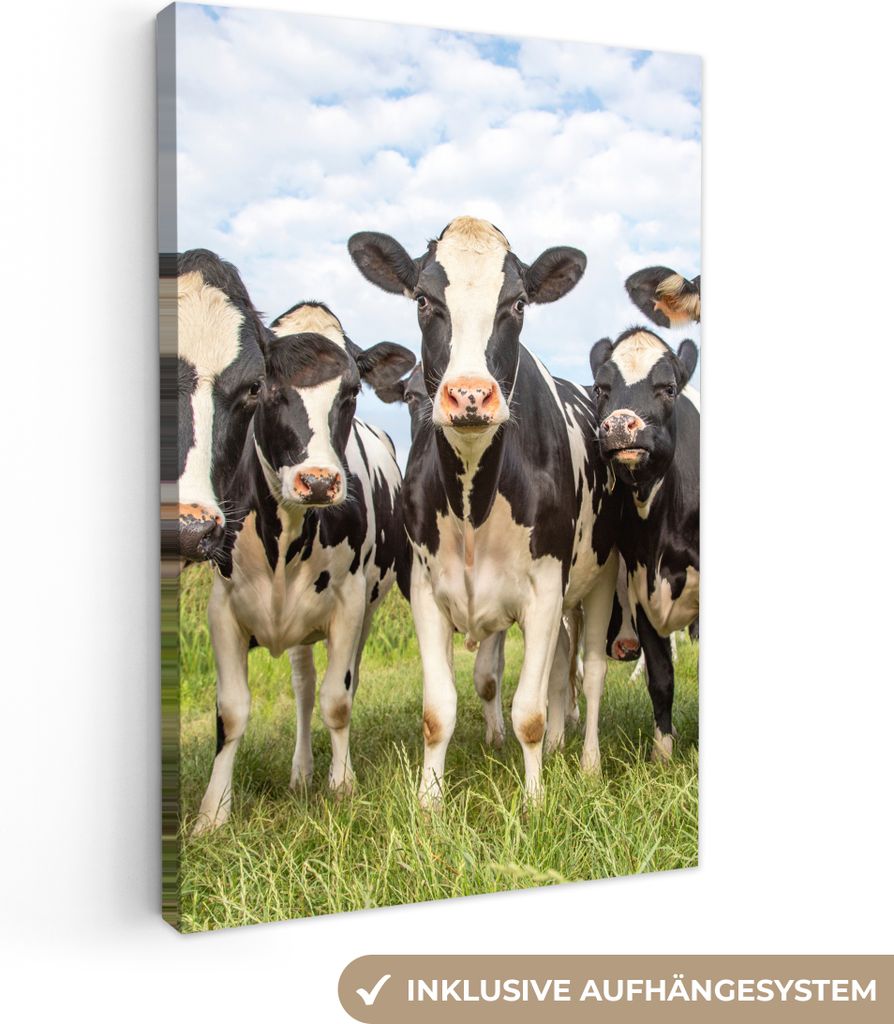 MuchoWow - Leinwandbilder - Kühe - Weide - Tiere - Natur - Gras, Wandbild, Wanddeko Bilder Wohnzimmer, 60x90 cm
