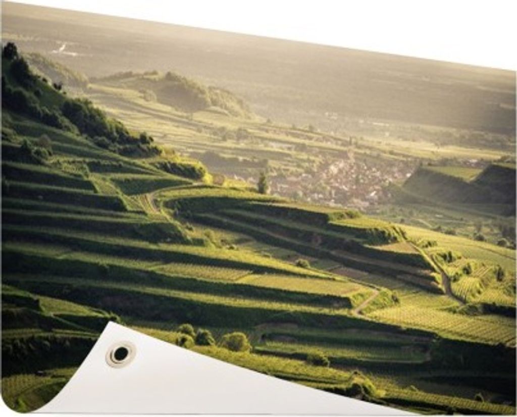 Gartenposter - 120x80 cm - Weinberg Sonnenuntergang Ansicht - Modernes Wandbilder - Natur