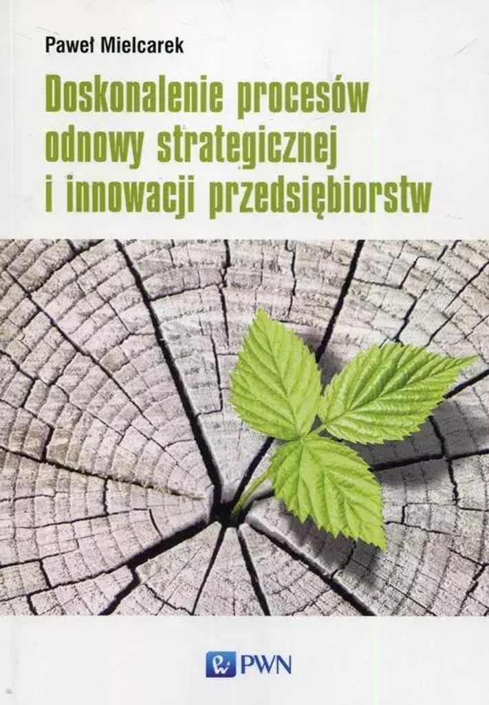 Doskonalenie procesów odnowy strategicznej i innowacji przedsiębiorstw - Paweł Mielcarek (Literatur auf Polnisch)