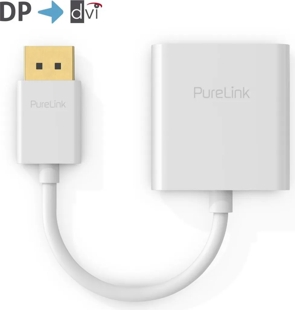Connecter un ordinateur DisplayPort sur un écran DVI WUXGA blanc IS110