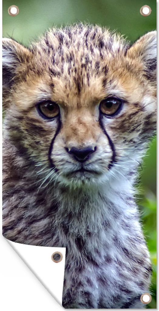 MuchoWow 40x80 cm Outdoor-Poster Gartendeko Sichtschutz Garten Poster für den Garten Porträt eines Geparden