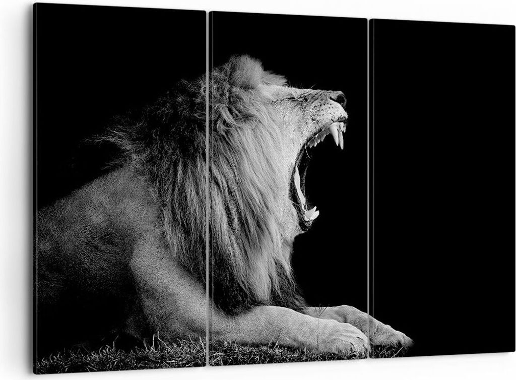 Bild auf Leinwand - Leinwandbild - 3 Teile - Löwe Gähnen Schwarz und Weiß - 105x70cm - Wand Bild - Wanddeko - Wandbilder - Leinwanddruck - Bilde...