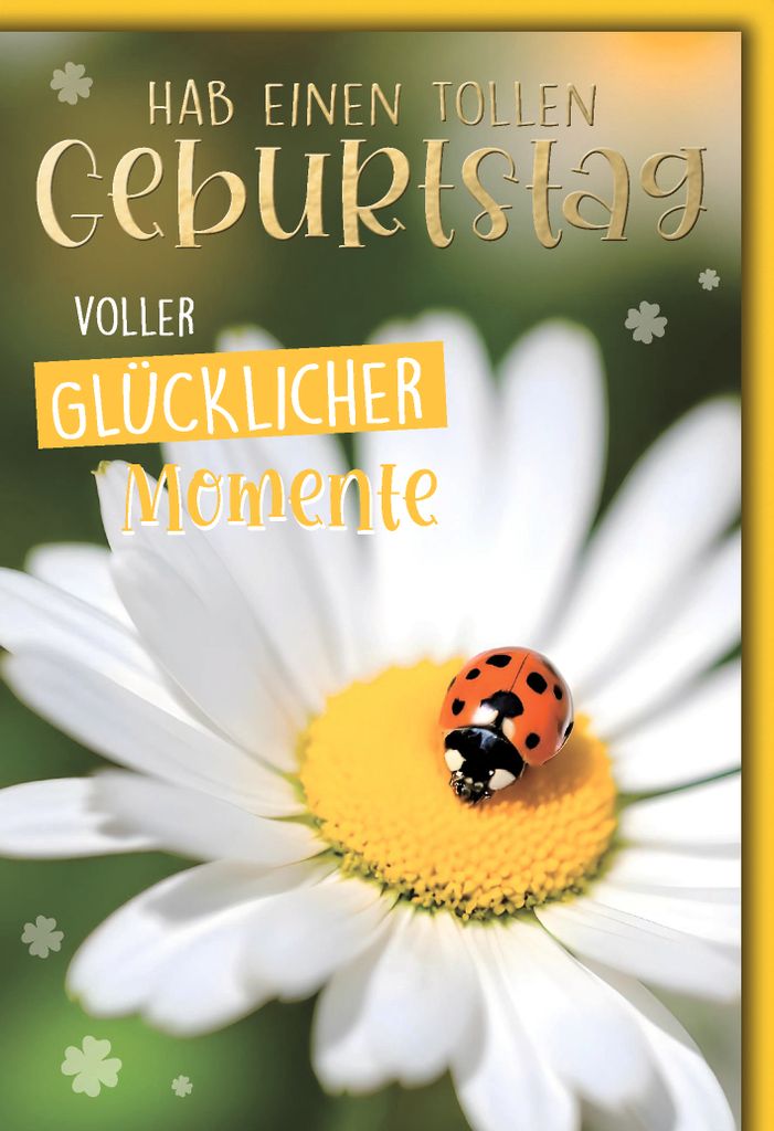 Geburtstag Glückwunschkarte mit Umschlag Blüte mit Glückskäfer Tag voller glücklicher Momente Margerite