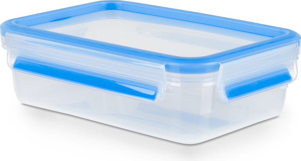EMSA 508539 recipiente per cibo Rettangolare Scatola 0.8 L Immagine del prodotto 