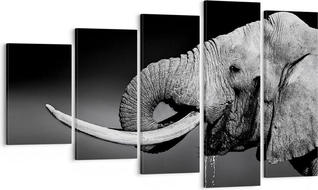 Bild auf Leinwand - Leinwandbild - Elefant Stoßzahn Natur - 100x60cm - Wand Bild - Wanddeko - Leinwanddruck - Bilder - Kunstdruck - Wanddekoration...