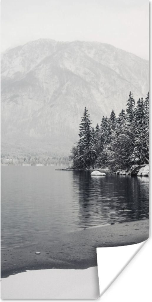 MuchoWow Poster Wasser - Winter - Natur - Kiefernbaum 80x160 cm - Kinderzimmer