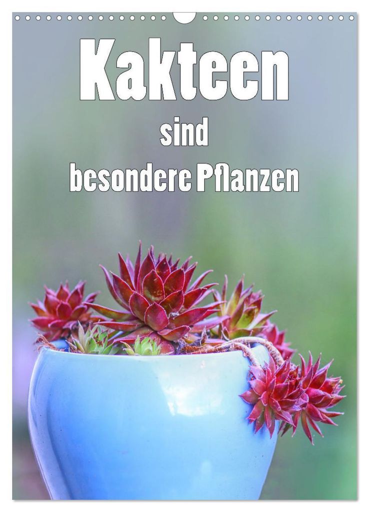 Kakteen sind besondere Pflanzen (Wandkalender 2027 DIN A3 hoch), CALVENDO Monatskalender