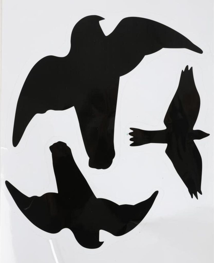 Vogelschutz Fensteraufkleber 3-teilig Greifvögel Wintergarten Fensterbild Fenstersticker