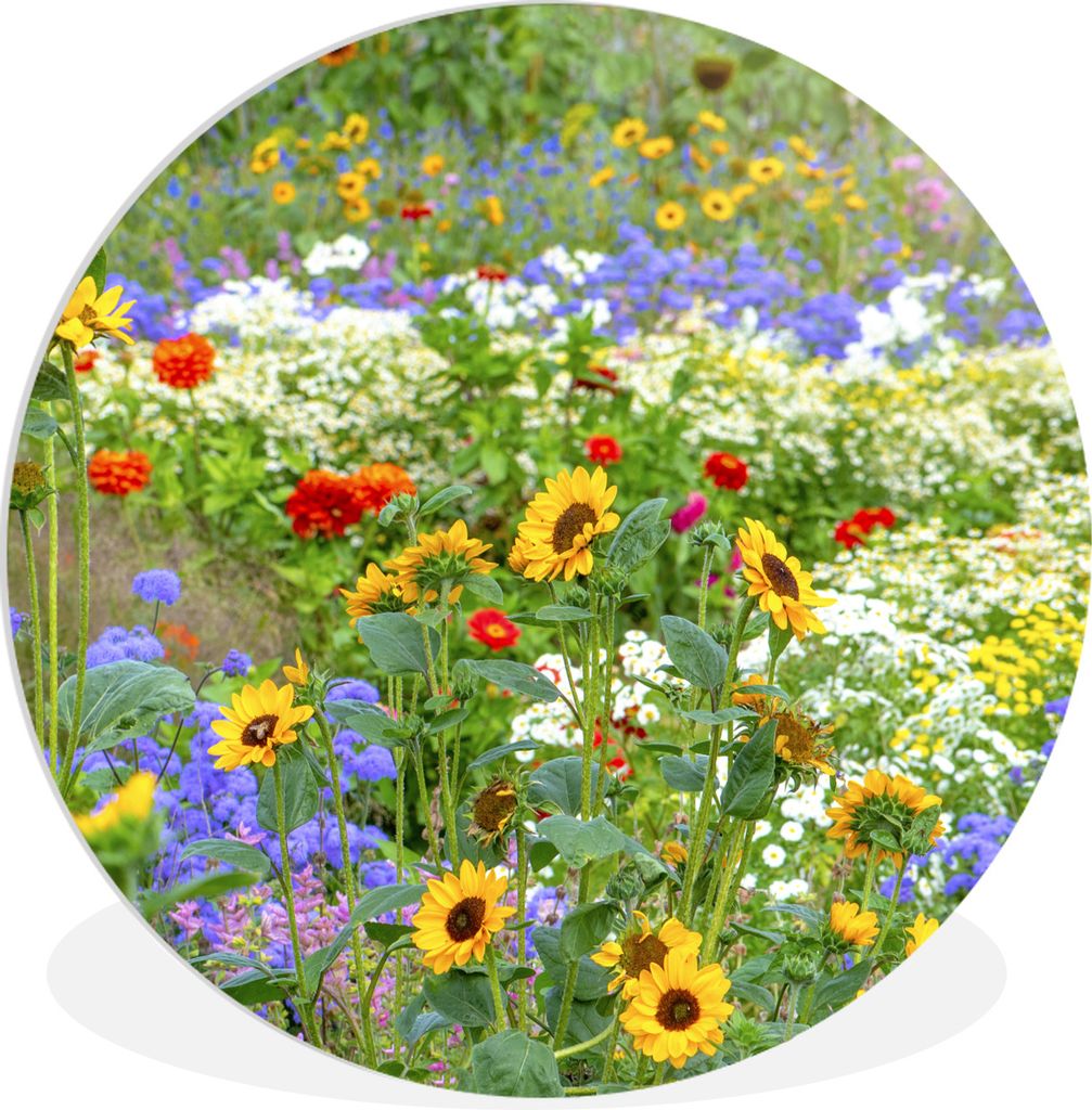 MuchoWow Rundes Wandbild - Runde Bilder Ziergras mit verschiedenen Blumen Ø 30 cm Kreis Wanddekoration Kunststoff - Wandkreis - Wandschmuck - Sc...