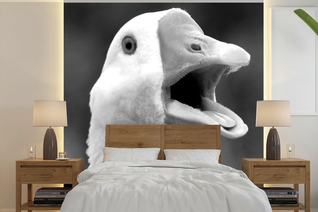 MuchoWow Fototapete für Wohnzimmer oder Schlafzimmer Wandtapete Vinyl Motivtapete Nahaufnahme einer krächzenden Gans - schwarz und weiß - 350x...