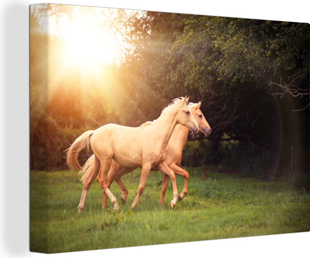 OneMillionCanvasses - Leinwandbilder - 150x100 cm, Pferde - Wald - Sonne, Wandbilder Kunstdruck Wanddekoration