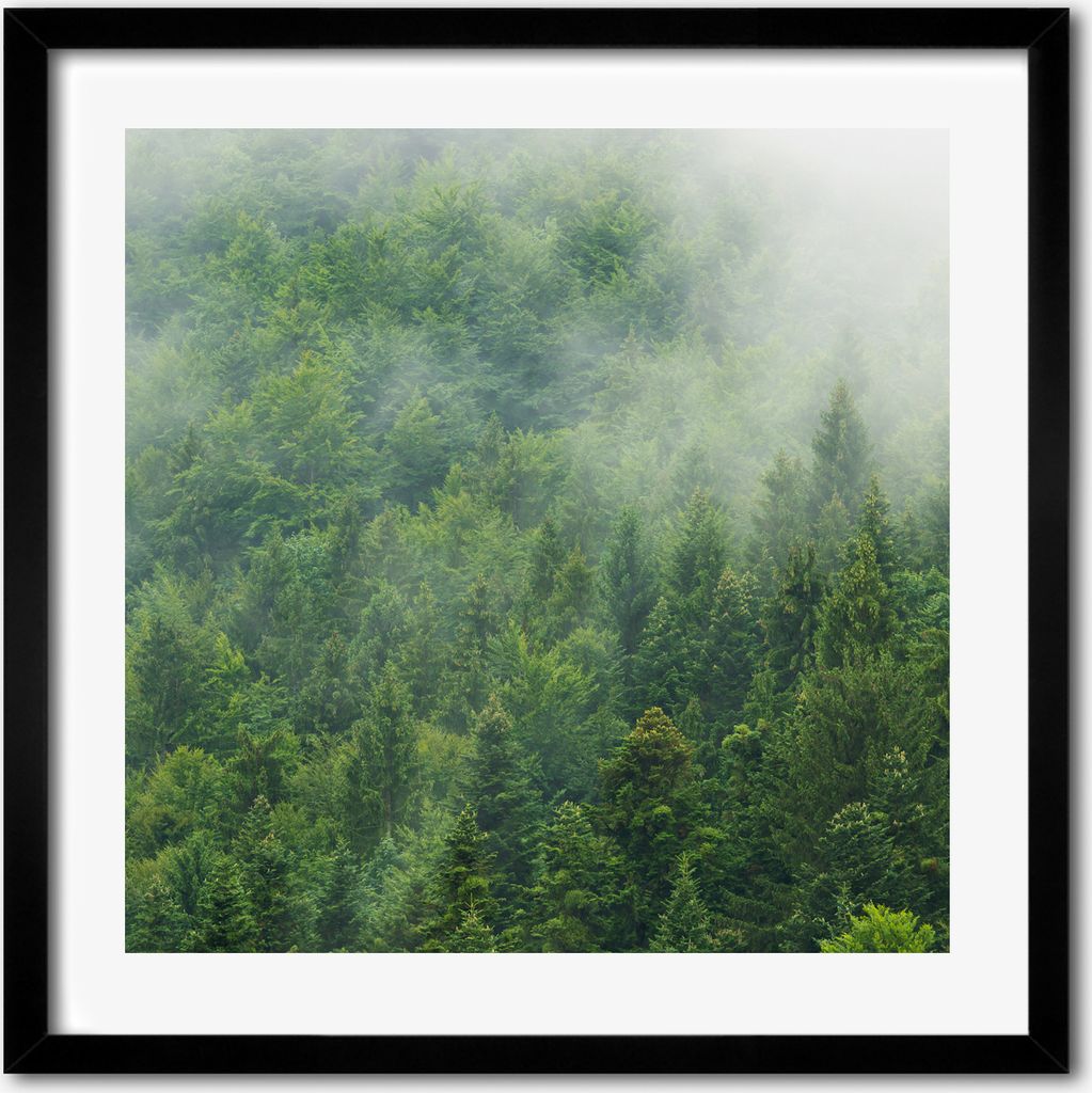 Bild - 50 cm x 50 cm - MDF - Rahmen, Wandkunst - Produktbild 