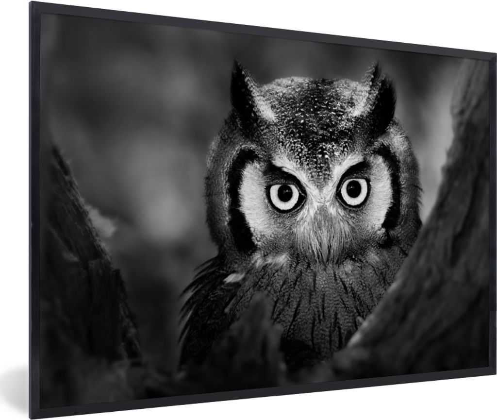 MuchoWow Gerahmtes Poster Vogel - Eule - Porträt - Schwarz - Weiß 30x20 cm - Poster mit Schwarzem Bilderrahmen Wandposter Rahmen Foto Bilder - ...