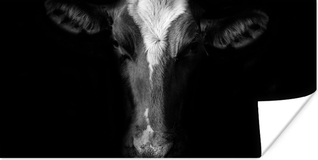 MuchoWow Poster Kuh - Tiere - Schwarz 40x20 cm