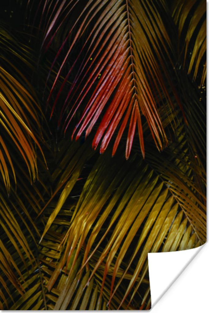 MuchoWow Poster Dschungel - Rot - Gold - Palmenblatt 120x180 cm - Kunstposter