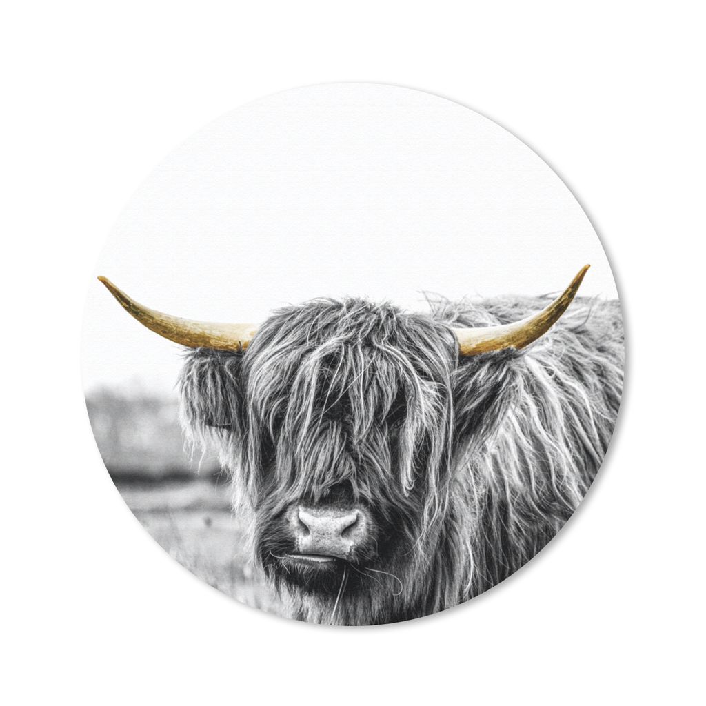 MuchoWow Mauspad Mousepad Schottische Highlander - Natur - Goldene Hörner 30x30 cm - Mousepads - Maus Mat - Pad - Mausunterlage - Tischunterlage...
